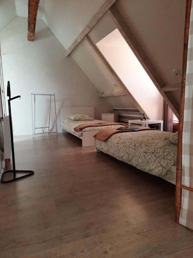 La Maison Genevier - Chambre La Family Montreuil-en-Touraine Kültér fotó